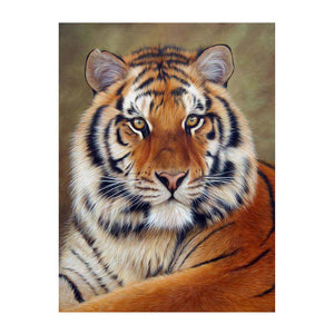 Tiger - peinture en diamant complet - 40x50cm