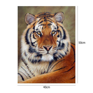 Tiger - peinture en diamant complet - 40x50cm