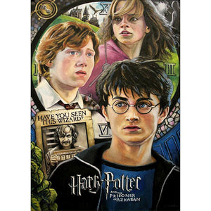 Harry potter - diamant rond complet - 30x40cm