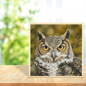 Glorpart hibou - diamant rond complet - 30x30cm