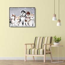 Charger l&#39;image dans la galerie, Portraits d’animaux - peinture en diamant complet - 40x30cm
