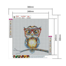 Charger l&#39;image dans la galerie, Lunettes hibou - diamant rond complet - 30x30cm
