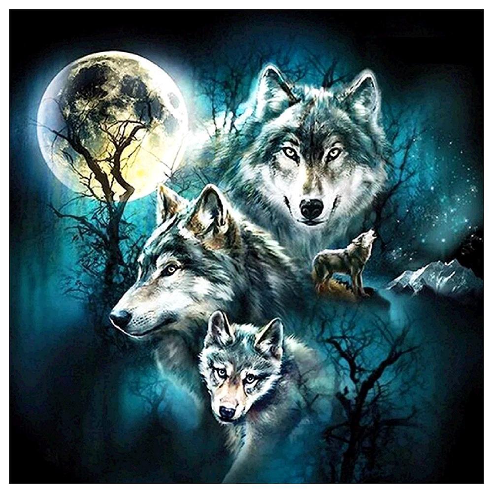 Wolfsset de nuit - peinture en diamant complet - 30x30cm