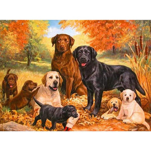 DogSets - peinture en diamant complet - 40x30cm