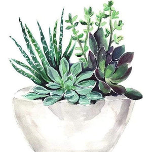 Plante succulente - diamant rond complet - 30x30cm