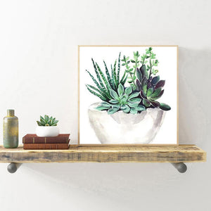 Plante succulente - diamant rond complet - 30x30cm