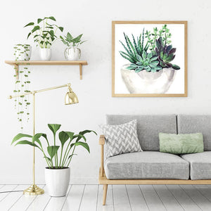 Plante succulente - diamant rond complet - 30x30cm