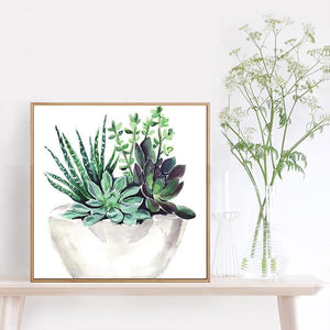 Plante succulente - diamant rond complet - 30x30cm