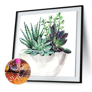 Plante succulente - diamant rond complet - 30x30cm