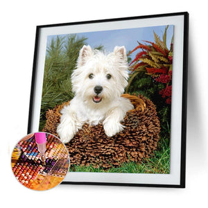 Chien - diamant rond complet - 30x30cm