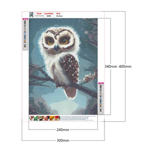 hibou- de diamant rond complet de paon 30 * 40CM